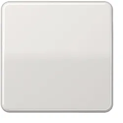 Jung Wippe Schalter lgrau glänzend CD 590 LG
