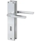 BASI Drückergarnitur ZB 4100 - Alu F1 - Lochung: Buntbart