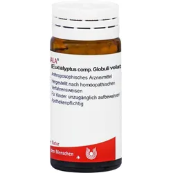 Eucalyptus Comp.globuli