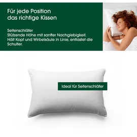 HANSKRUCHEN Premium de Luxe Daunenkissen 60 x 80 cm Weiß
