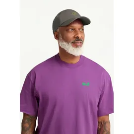 Jack Wolfskin Celebrate The PAW Cap grau Einheitsgröße