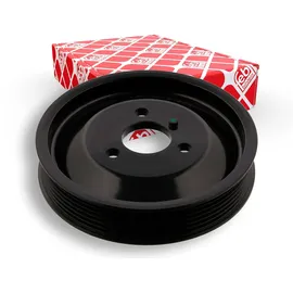 FEBI BILSTEIN Riemenscheibe, Servopumpe