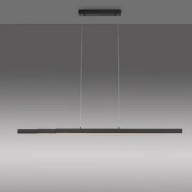 just light. LED-Pendelleuchte LUZI, 3xLED/13W/230V