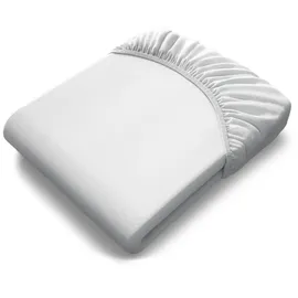 Bett1.de Spannbettlaken Jersey 180 x 200 - 200 x 220 cm weiß