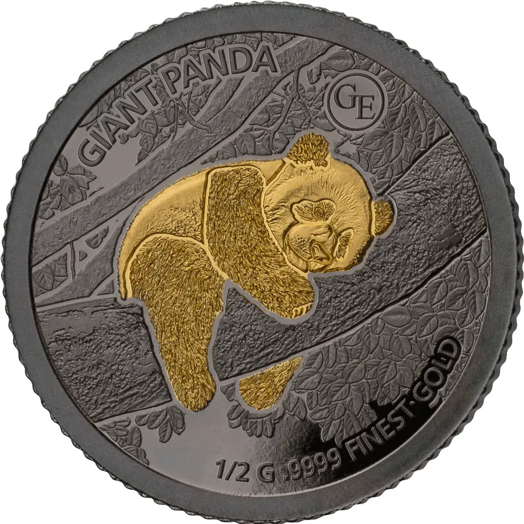 Rhodium-veredelte Goldmünze "Golden Enigma Panda" 2024