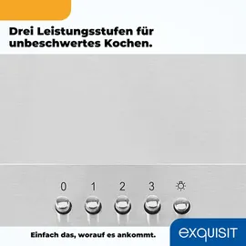 GGV Exquisit FKH 60-2 Wandhaube 60 cm