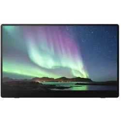 Ricoh 150BW Mobiler OLED-Monitor mit Touchscreen