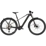 BULL'S Sonic SX Dakar 2026 29 Zoll Diamant monza grey/UD carbon M