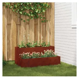 vidaXL Rostig 100 x 60 x 45 cm Braun