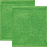 Erwin Müller Geschirrtuch Frottier apfelgrün Größe 50x50 cm, Küchentuch, Küchen-Handtuch 2er-Pack - strapazierstark, hohe Saugkraft, 100% Baumwolle, mit Schlaufe