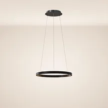 s.luce LED Ring Pendelleuchte rund Direkt oder Indirekt Schwarz, / Ø 40cm