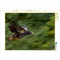 Calvendo Puzzle Adler 1000 Teile Puzzle quer | 1000
