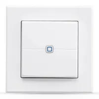 Homematic IP Wandtaster 2-fach