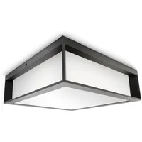 Philips Skies wall lantern anthracite 2x42W 230V