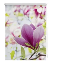 Lichtblick Rollo, Klemmfix ohne Bohren, Magnolie - Rosa