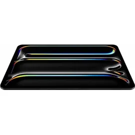 Apple iPad Pro 11" (5. Generation 2024) 2 TB Wi-Fi + Cellular Nanotexturglas space schwarz