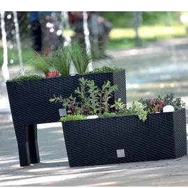 Prosperplast Rato Case 51,4 x 19 x 18,65 cm Anthrazit