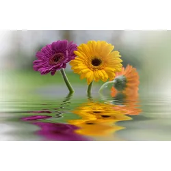 Fototapete PAPERMOON "BLUMEN-SCHNEEGLÖCKCHEN PFLANZEN REFLEXION DEKO ABSTRAKT", bunt, B:4,50m L:2,80m, Vlies, Tapeten