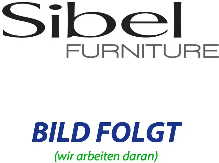 Sibel Färbepinsel Precision