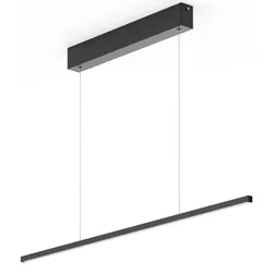 EVOTEC LED Pendelleuchte "eXiro", F (A-G), schwarz, H: 61cm, Lampen, dezent, Made in Germany
