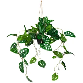 HJH Office Kunstpflanze Grün