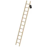Proregal Anlegeleiter 12 Sprossen