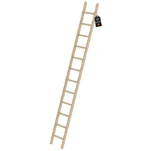 Proregal Anlegeleiter 12 Sprossen
