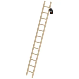 Proregal Anlegeleiter 12 Sprossen