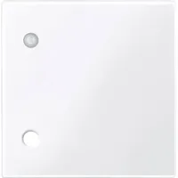 Merten Zentralplatte aws/gl 450725