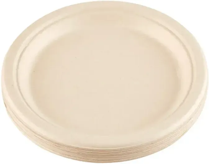 ochama Biologisch abbaubare Teller 9 Zoll - 20pcs - Schalen & Teller - Food Grade Cane Pulp Paper Plates