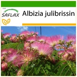 Saflax - Schlafbaum - 50 Samen - Mit keimfreiem Anzuchtsubstrat - Albizia julibrissin