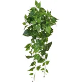 Künstlicher Pothos - Walter | 80 cm