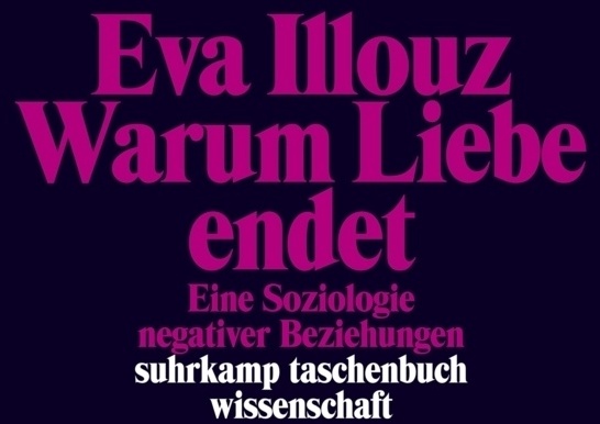 Warum Liebe Endet - Eva Illouz  Taschenbuch