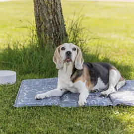 Trixie Kühlmatte Soft 90 x 60 cm grau