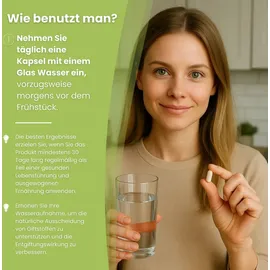 Biostile Energie Plus Stoffwechsel Kapseln 60 St.