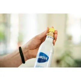 Brita CO2-Zylinder silber