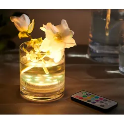 Tchibo - LED-Unterwasserlicht mit Farbwechsel - transparent