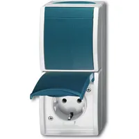 Busch-Jaeger Schuko-Steckdose 2 IP44 grau/blaugrün 1 St.