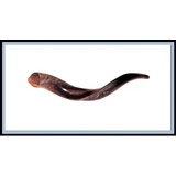 Neue 55,88 cm Jemenit Shofar Kudu Horn Polished koscher Musik