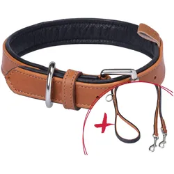 pawberry Set Gassi L-XL Hundehalsband + Hundeleine Melun