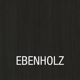 Bondex Holzlasur für Aussen 2,5 l ebenholz