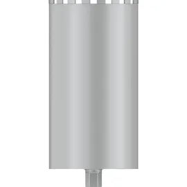 Bosch PRO Nassbohrkrone Diamantbohrer 250 mm 1 Stück