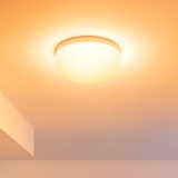 Philips Hue White and Color Flourish weiß