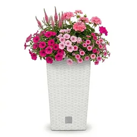 Prosperplast Rato Square 26,5 x 26,5 x 50 cm weiß