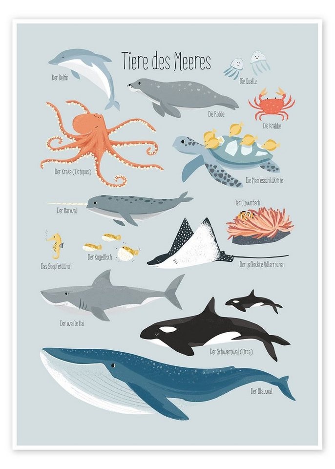 Posterlounge Poster Sandy Lohß, Tiere des Meeres, Jungenzimmer Maritim Illustration blau 50 cm x 70 cm