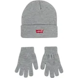 Levi's CORE BATWING BEANIE/GLOVES grau