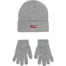 Levi's CORE BATWING BEANIE/GLOVES grau