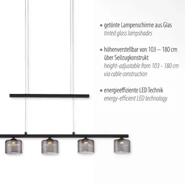 Paul Neuhaus Hydra 1-flg. 80 cm schwarz