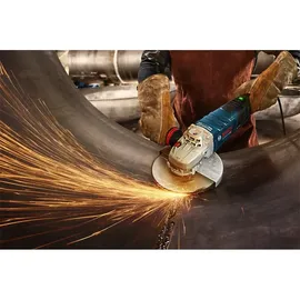 Bosch GWS 30-230 PB Professional 06018G1100