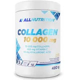 ALLNUTRITION Collagen 10 000 mg Pulver 480 g